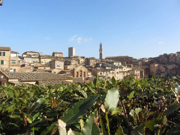 Panorama Siena Tower Known Torre Del Mangia Tuscany Italy — Stock Photo, Image