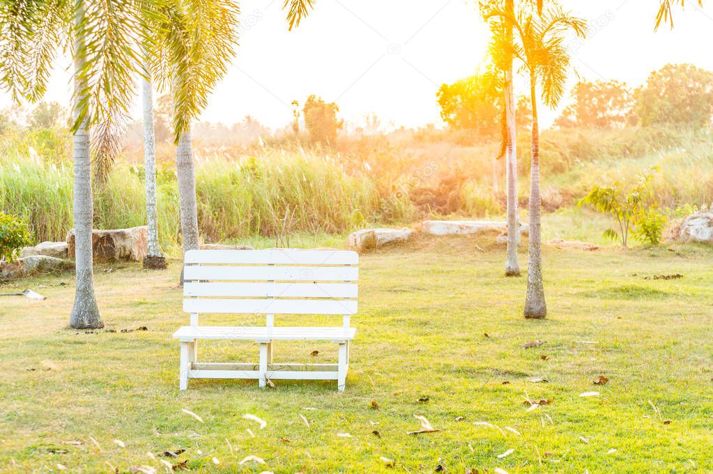 white chair in the park with sunset