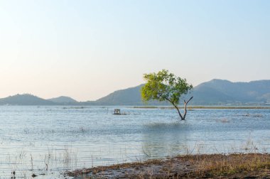 suda ıslatın ve Bang Phra rezervuar Sriracha, Chonburi, Tayland, Thailand, dağ arka plan ağaç.