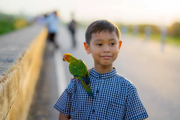 Menino Brincando Com Papagaio Seus Ombros — Fotografia de Stock