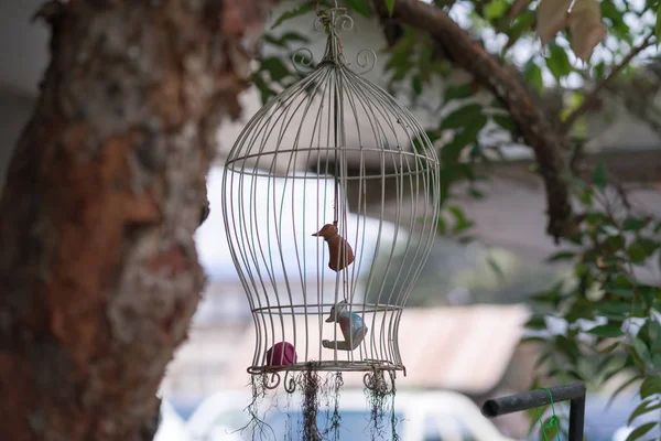 Estatua Ave Una Jaula Pájaro Jardín — Foto de Stock