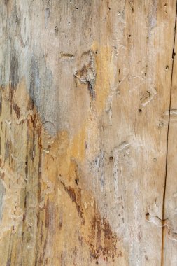 Eskimiş Kahverengi Ahşap Doku