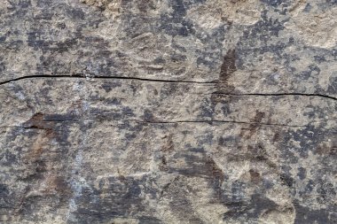 Eskimiş Çatlamış Ahşap Doku