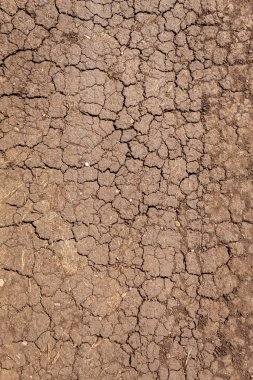 kuru çatlamış toprak dokusu