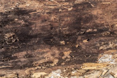 ahşap doku eski yıpranmış