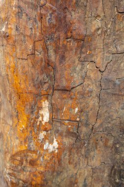 Eskimiş Çatlamış Ahşap Doku