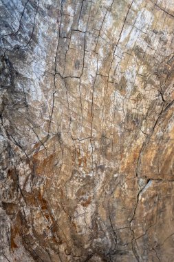 eski ahşap doku kırık