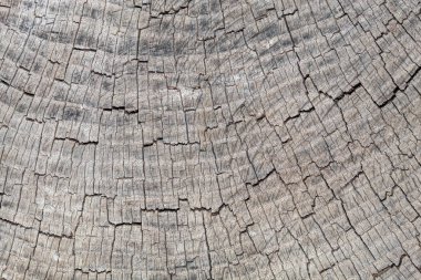 Gri Eski Ahşap Doku