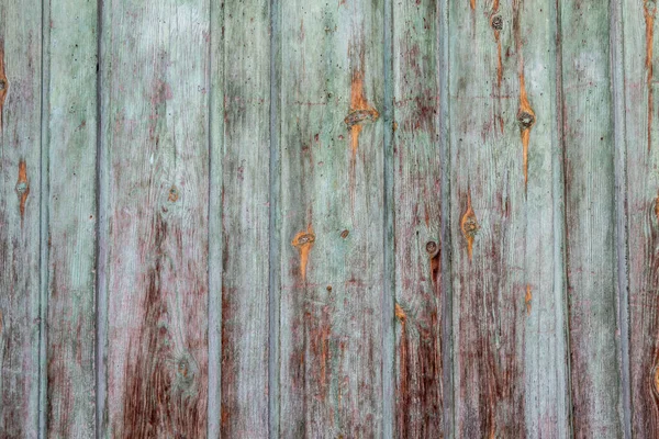 Grey Greenish Old Wood Texture — 스톡 사진