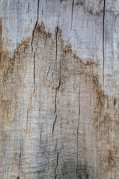 グレーの古い木のテクスチャ — ストック写真