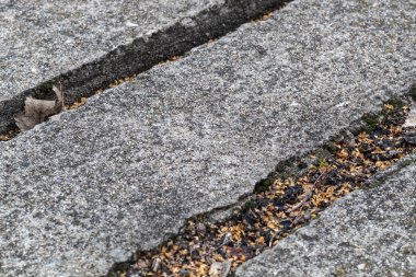 Yıpranmış Beton Panelleri Kapat 