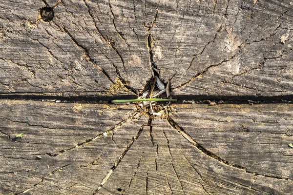 Oude Verweerde Gebarsten Hout Textuur — Stockfoto