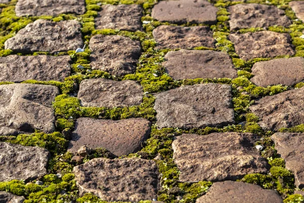 Cobblestone Textura Del Pavimento Cerca — Foto de Stock