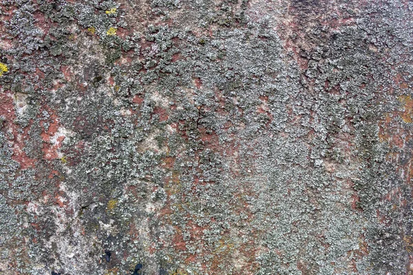 Régi Weathered Concrete Decay Wall Textúra — Stock Fotó