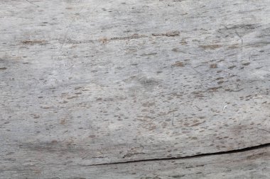 Yaşlı Yıpranmış Ağaç Kabuğu dokusu