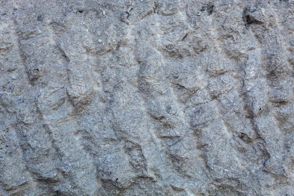 Textura Parede Pedra Revestida — Fotografia de Stock