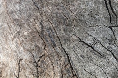 Gri Eski Yıpranmış Ahşap Doku