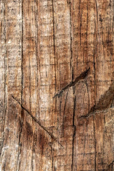 茶色がかった古い風化した木のテクスチャ — ストック写真