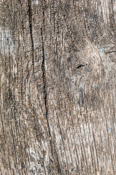 Grayish Old Weathered Wood Texture — Stockfoto