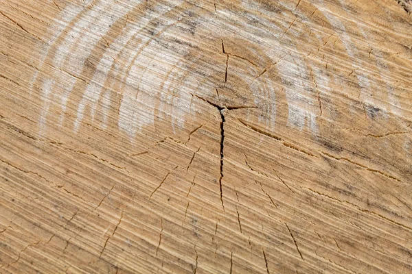 Brownish Weathered Cracked Cut Wood Texture — Stock Photo, Image