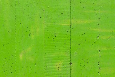 Beton duvar doku yeşil boyalı