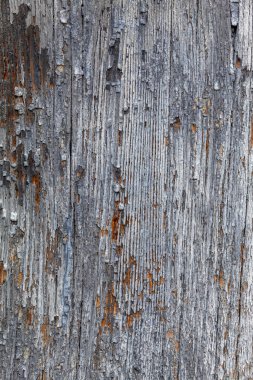 Eskimiş Soyulmuş Ahşap Doku