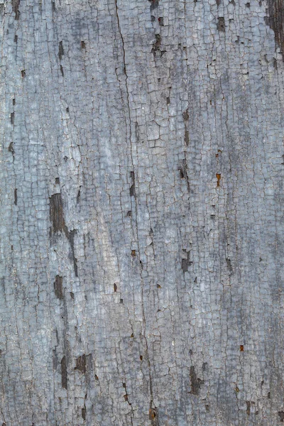 Old Weathered Peeling Wood Texture — 스톡 사진