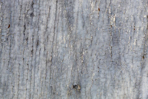 Stará Ošlehaná Textura Šedého Dřeva — Stock fotografie