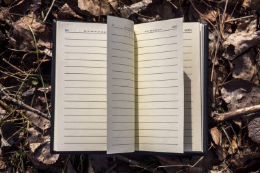 Boş Açık Not Defteri Kuru Sonbahar Yaprakları ve Dallarıyla Kaplanmış Yerde