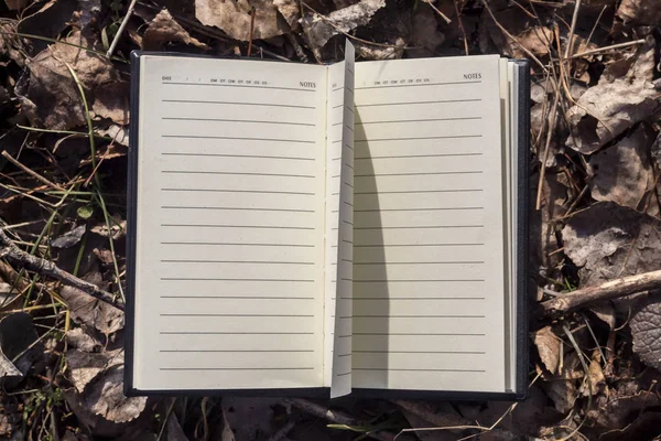 Üres Nyitott Notebook Feküdt Földön Borított Száraz Őszi Levelek Ágak — Stock Fotó