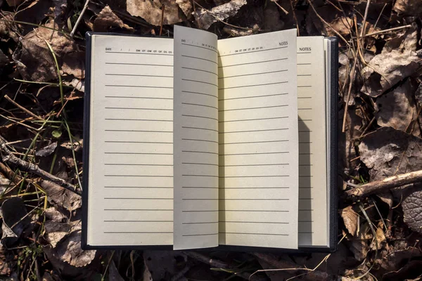 Üres Nyitott Notebook Feküdt Földön Borított Száraz Őszi Levelek Ágak — Stock Fotó
