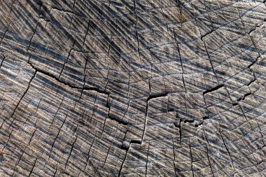 Gri, eski, yıpranmış ahşap doku.