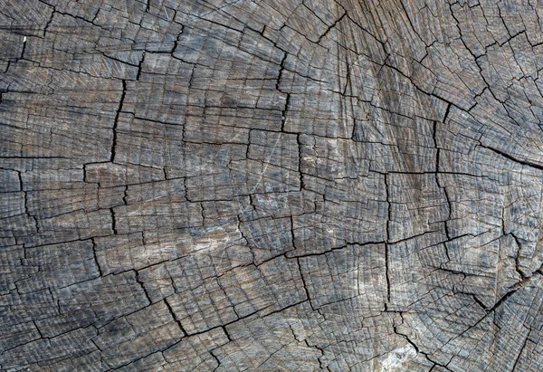 Gri, eski, yıpranmış ahşap doku.