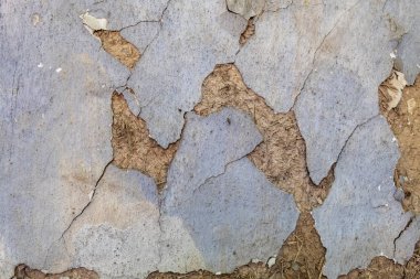 Çamur Duvarı 'nın Beyaz Boyalı Evi