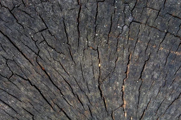 灰色の天気の良い日クラックカット木のテクスチャ — ストック写真