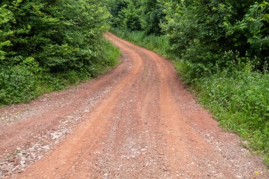 Ormandaki Kırmızı Kirli Yol