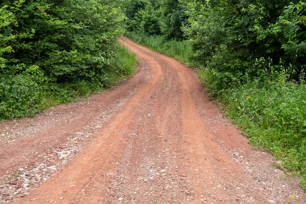 Reddish Dirt Road Lese — Stock fotografie