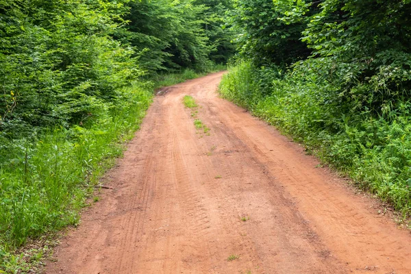 Reddish Dirt Road in The Forest