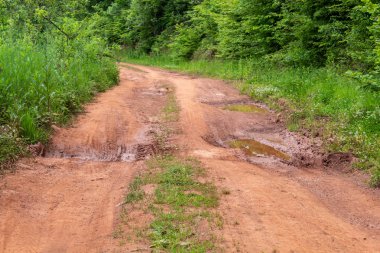 Ormandaki Su birikintili Kirli Yol 
