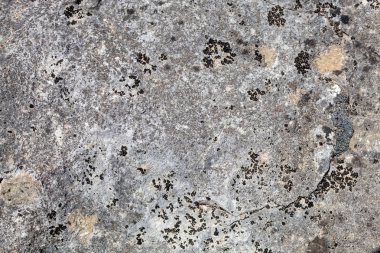 Grayish Old Weathered Natural Stone Texture
