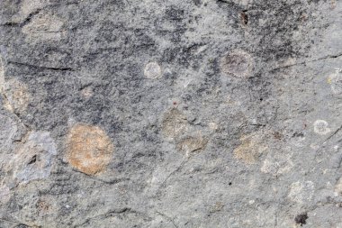 Grayish Old Weathered Natural Stone Texture