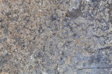 Grayish Old Weathered Natural Stone Texture