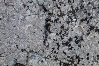 Grayish Old Weathered Natural Stone Texture