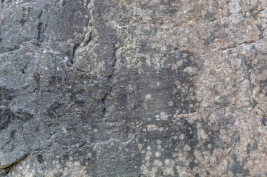 Grayish Old Weathered Natural Stone Texture