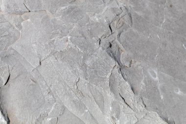 Grayish Old Weathered Natural Stone Texture
