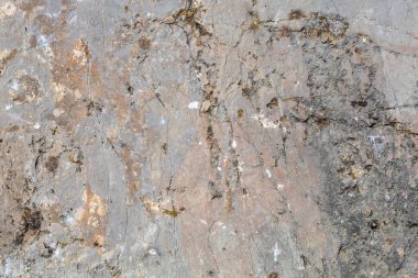 Grayish Old Weathered Natural Stone Texture