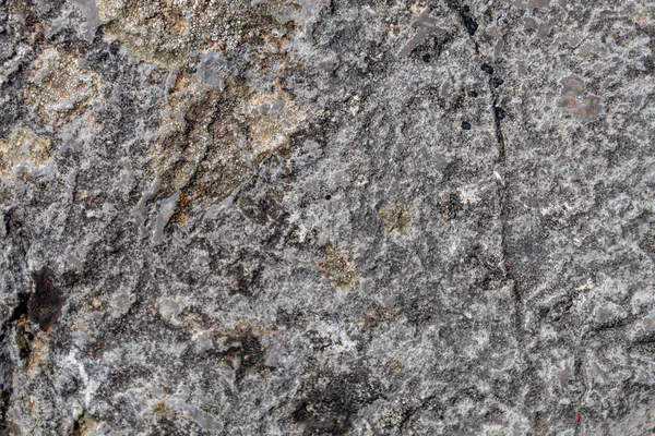 Grayish Old Weathered Natural Stone Texture — 图库照片