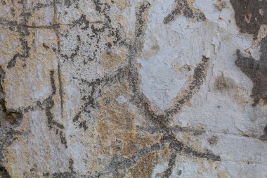 Eskimiş Beton Çürüme Duvarı dokusu