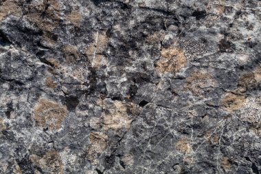 Grayish Old Weathered Cracked Natural Stone Texture