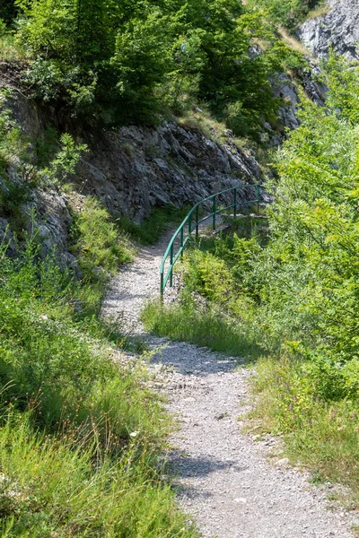 Hiking Gravel Path in The Forest With Green Metal Fence on The Right Side